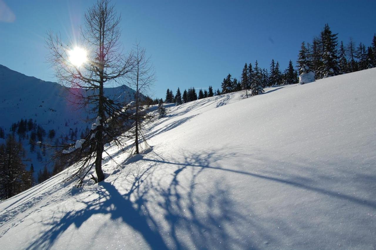Ferienwohnung Wohlfahrter Bad Mitterndorf Luaran gambar