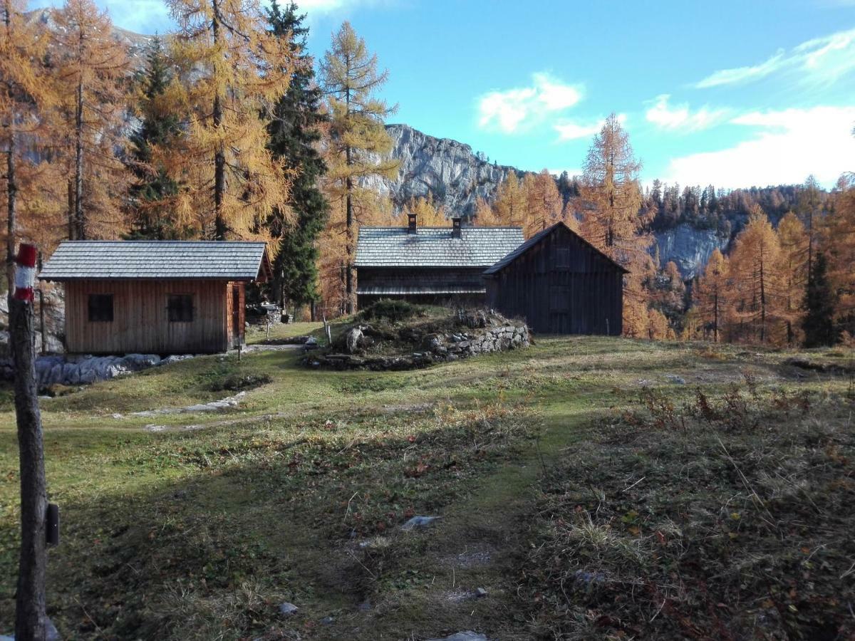 Ferienwohnung Wohlfahrter Bad Mitterndorf Luaran gambar